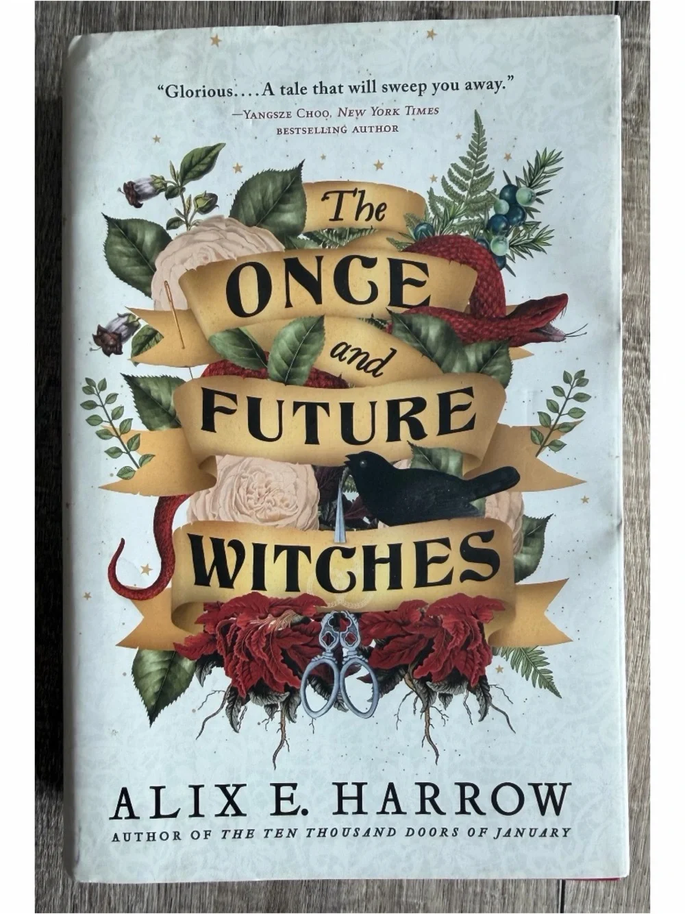 The Once and Future Witches